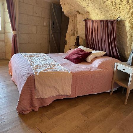 Willa L'Escale Troglo Au Bord De La Loire Souzay-Champigny Zewnętrze zdjęcie